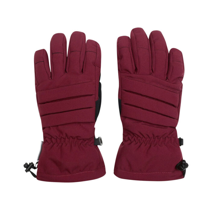 Ski Gloves