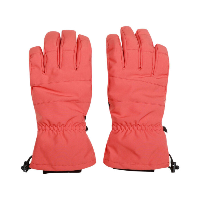 Ski Gloves